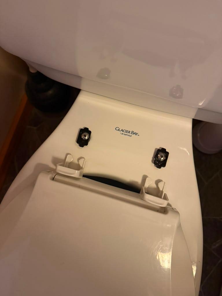 Toilet seat hinges after cleaning