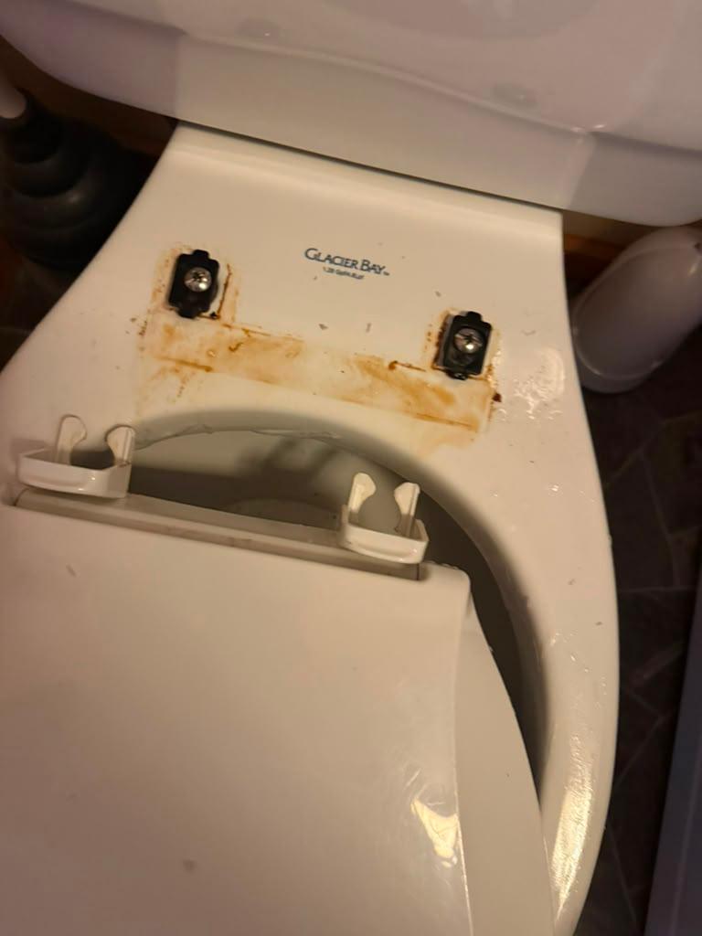 Toilet seat hinges before cleaning